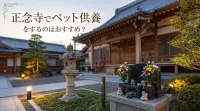 正念寺でペット供養をするのはおすすめ？