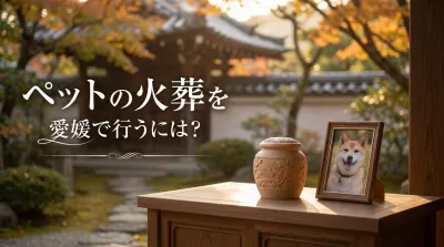 ペットの火葬を愛媛で行うには？