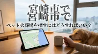 宮崎市でペット火葬場を探すにはどうすればいい？