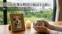 ペット火葬を町田で検討する際に知っておくべきこととは？