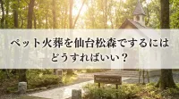 ペット火葬を仙台松森でするにはどうすればいい？
