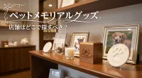 ペットメモリアルグッズ 店舗はどこで探すべき？