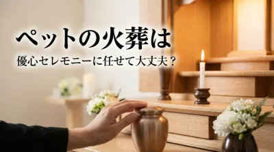 ペットの火葬は優心セレモニーに任せて大丈夫？