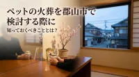 ペットの火葬を郡山市で検討する際に知っておくべきこととは？