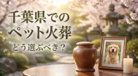千葉県でのペット火葬はどう選ぶべき？