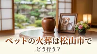 ペットの火葬は松山市でどう行う？