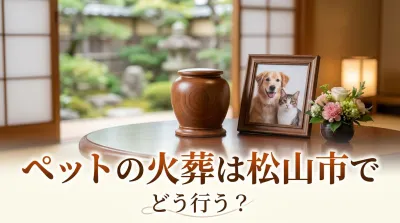 ペットの火葬は松山市でどう行う？