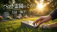ペット霊園のミカタとは一体？