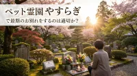 ペット霊園 やすらぎで最期のお別れをするのは適切か？