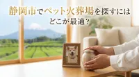 静岡市でペット火葬場を探すにはどこが最適？