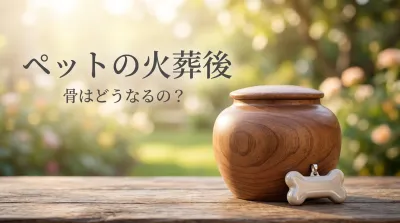 ペットの火葬後、骨はどうなるの？