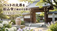 ペットの火葬を松山市で検討する際はどうすればいい？