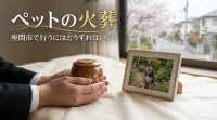 ペットの火葬を座間市で行うにはどうすればいい？