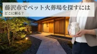 藤沢市でペット火葬場を探すにはどこに頼る？