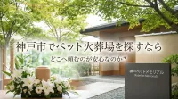 神戸市でペット火葬場を探すならどこへ頼むのが安心なのか？