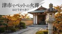 津市でペットの火葬はどうすべき？