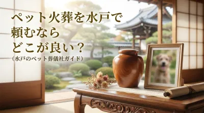 ペット火葬を水戸で頼むならどこが良い？
