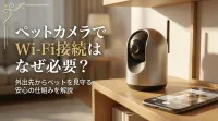 ペットカメラでWi-Fi接続はなぜ必要？