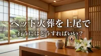 ペット火葬を上尾で行うにはどうすればいい？
