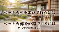 ペット火葬を姫路で行うにはどうすればいい？