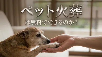 ペット火葬は無料でできるのか？