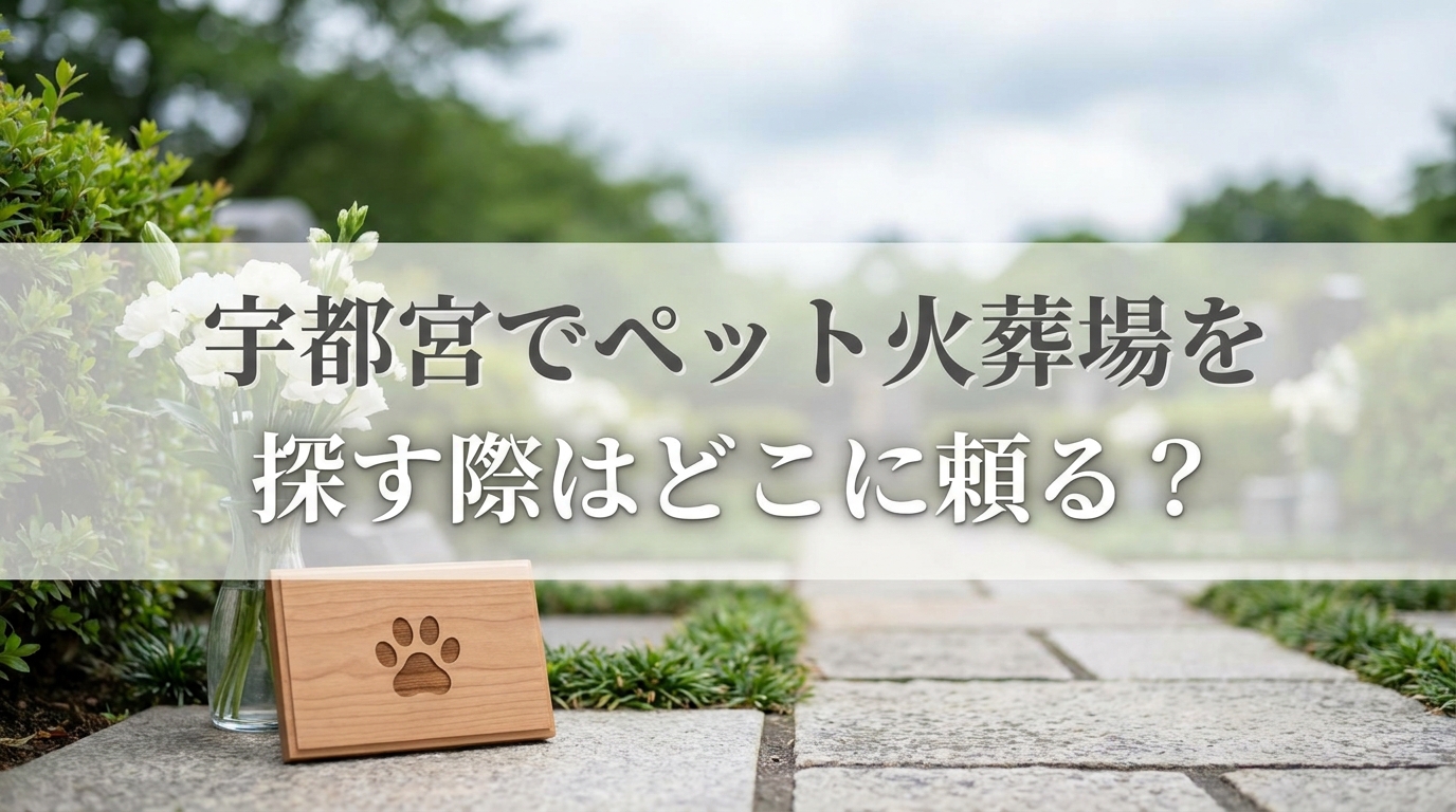 宇都宮でペット火葬場を探す際はどこに頼る？