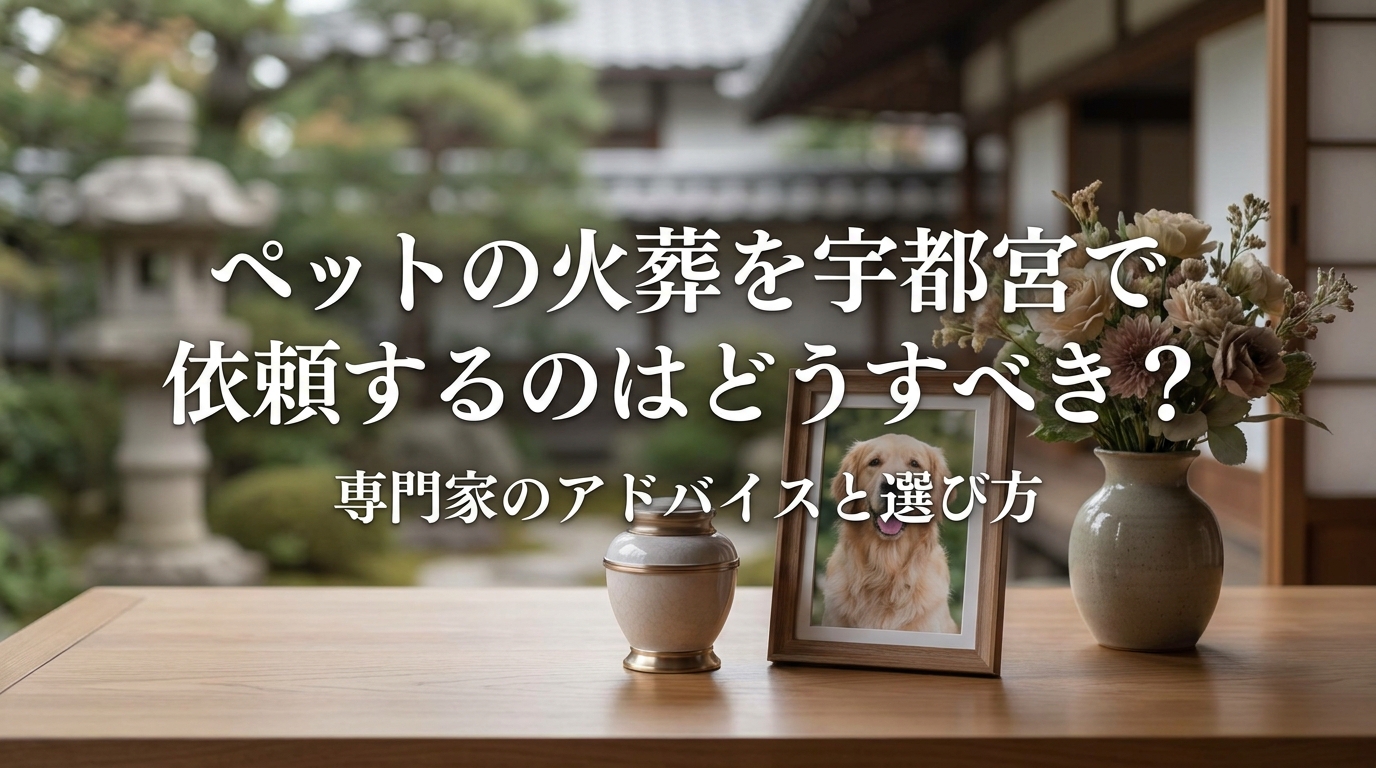 ペットの火葬を宇都宮で依頼するのはどうすべき？