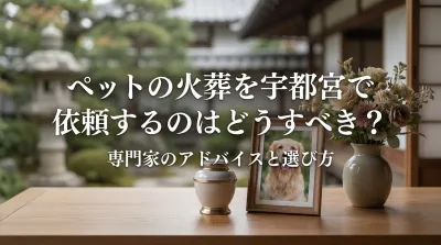 ペットの火葬を宇都宮で依頼するのはどうすべき？