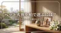 ペット火葬を柏で選ぶには？