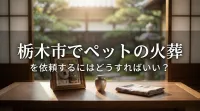 栃木市でペットの火葬を依頼するにはどうすればいい？