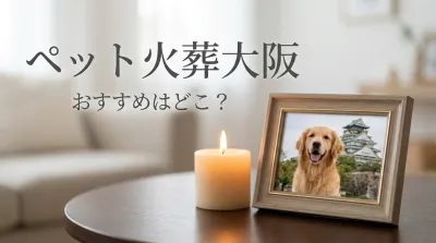 ペット火葬大阪のおすすめはどこ？