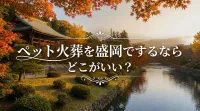 ペット火葬を盛岡でするならどこがいい？
