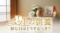ペットの供養で初七日はどうするべき？