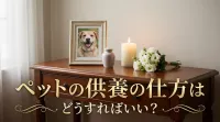 ペットの供養の仕方はどうすればいい？