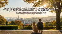 ペットの火葬は豊田市でどう探すべき？