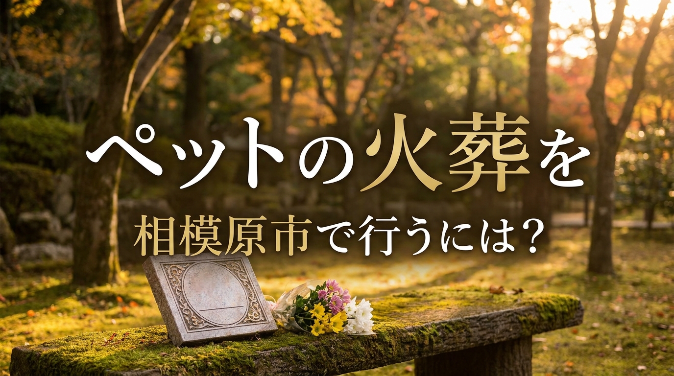 ペットの火葬を相模原市で行うには？