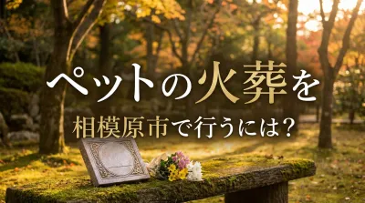 ペットの火葬を相模原市で行うには？