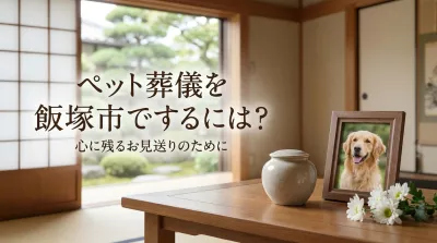 ペット葬儀を飯塚市でするには？