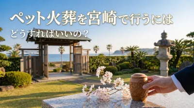 ペット火葬を宮崎で行うにはどうすればいいの？