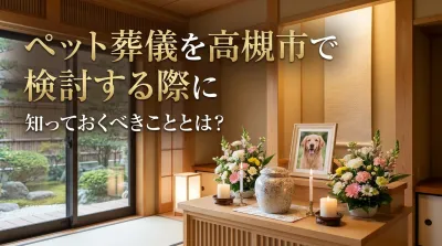 ペット葬儀を高槻市で検討する際に知っておくべきこととは？