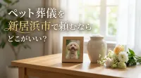 ペット葬儀を新居浜市で頼むならどこがいい？