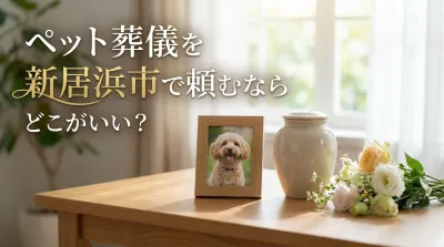ペット葬儀を新居浜市で頼むならどこがいい？