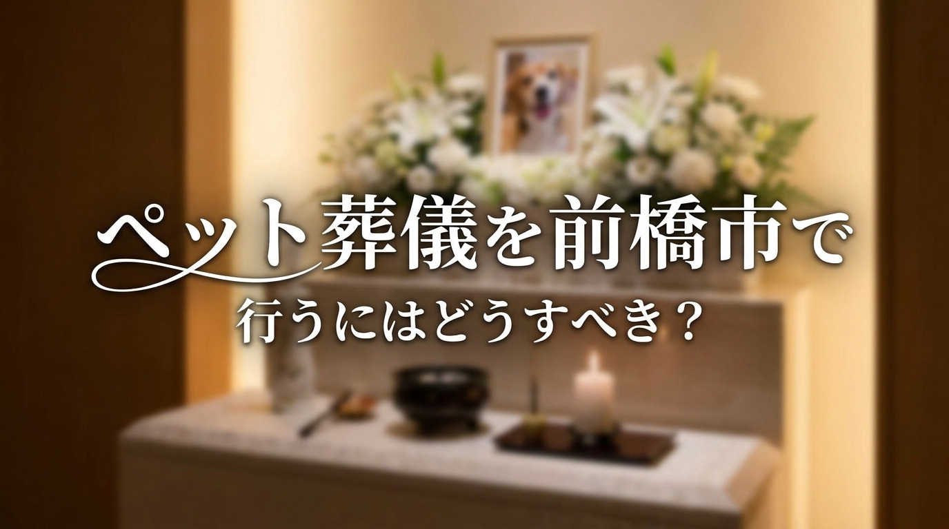 ペット葬儀を前橋市で行うにはどうすべき？