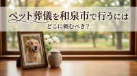 ペット葬儀を和泉市で行うにはどこに頼むべき？