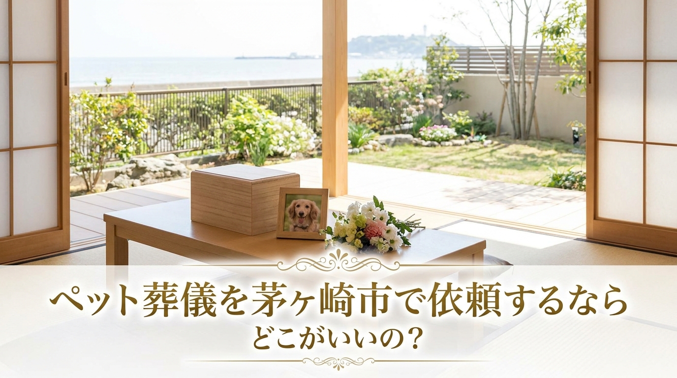 ペット葬儀を茅ヶ崎市で依頼するならどこがいいの?