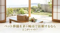 ペット葬儀を茅ヶ崎市で依頼するならどこがいいの？