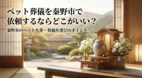 ペット葬儀を秦野市で依頼するならどこがいい？