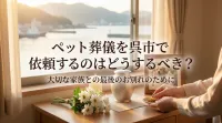 ペット葬儀を呉市で依頼するのはどうするべき？