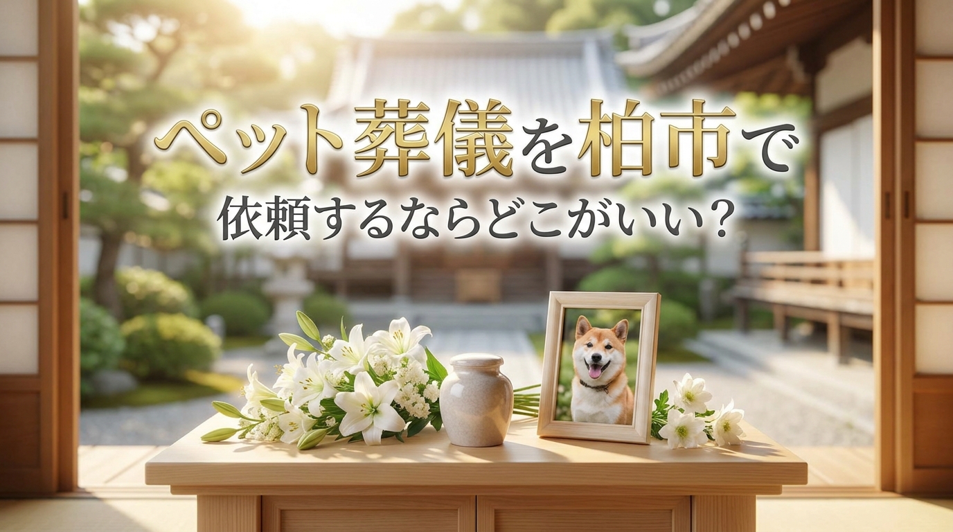 ペット葬儀を柏市で依頼するならどこがいい？