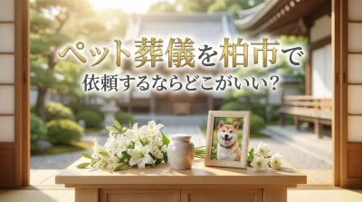 ペット葬儀を柏市で依頼するならどこがいい？